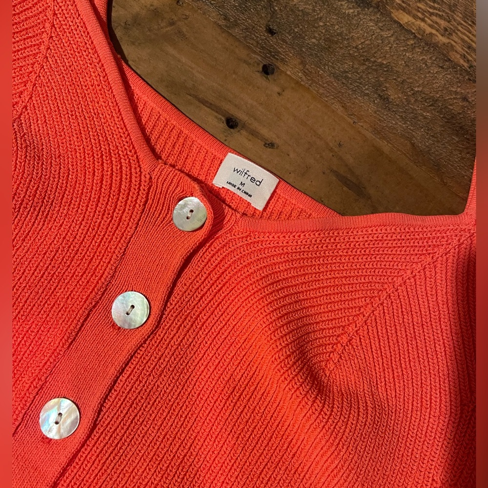 Orange crop top / purchased from Aritzia